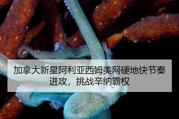 jia-na-da-xin-xing-a-li-ya-xi-mu-mei-wang-ying-di-kuai-jie-zou-jin-gong-tiao-zhan-xin-na-ba-quan-3-585.jpg