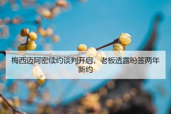 mei-xi-mai-a-mi-xu-yue-tan-pan-kai-qi-lao-ban-tou-lu-pan-qian-liang-nian-xin-yue-2-530.jpg