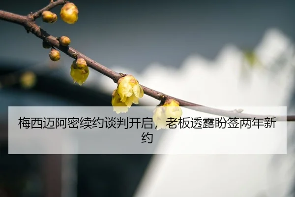 mei-xi-mai-a-mi-xu-yue-tan-pan-kai-qi-lao-ban-tou-lu-pan-qian-liang-nian-xin-yue-3-462.jpg